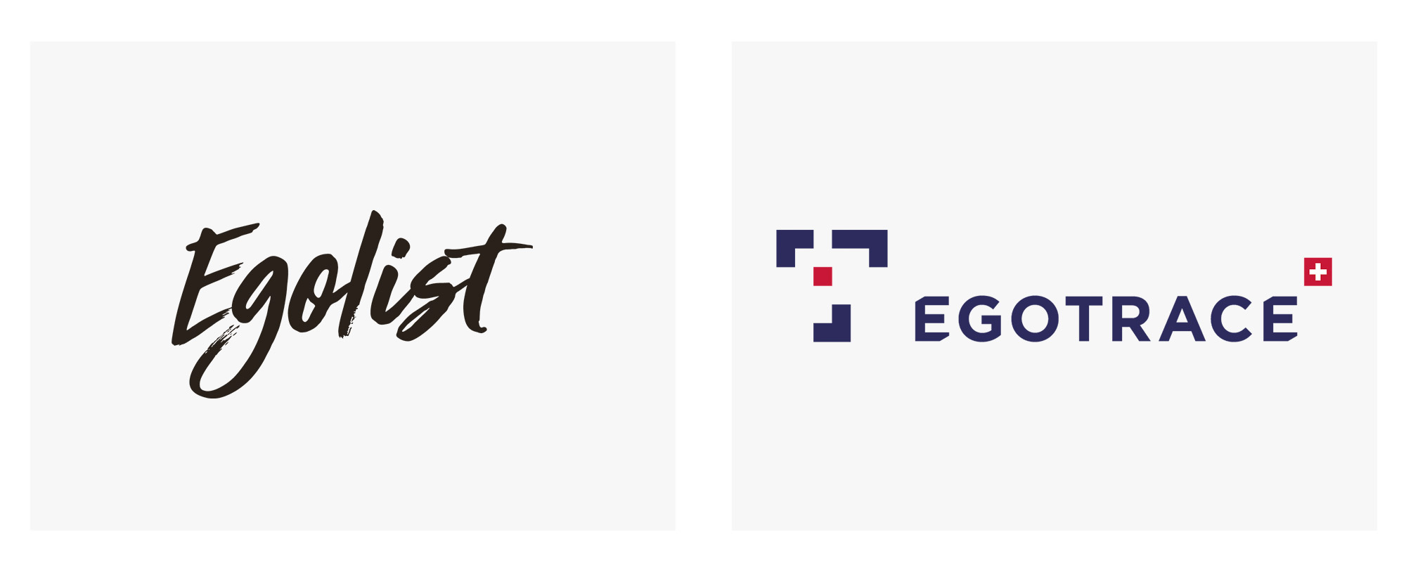 EgoTrace